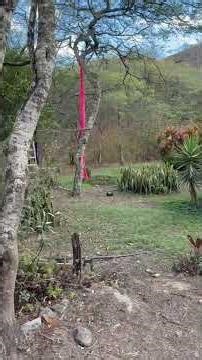 Aerial Silk Location at Mt Mandango in Vilcabamba