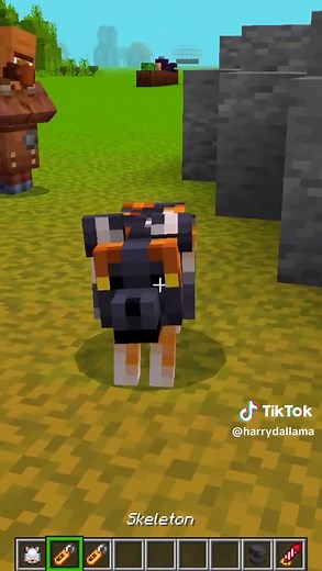 Actions & Stuff Name Tag Tricks (Wolves) #fyp #minecraft #minecraftbedrock #minecraftmemes #minecraftbuilding