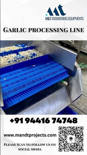 Garlic processing line, Garlic Frozen processing Line, garlic Dehydration Processing Line.