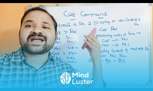 Mind Luster - Learn cat command in unix linux examples linux programming