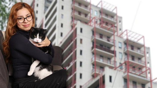 Eight lives left: Zack the cat survives cat-astrophic high-rise fall