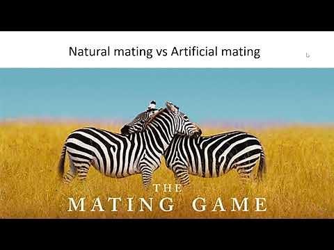 Animal reproduction Lesson 5