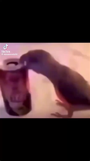 Roblox Tik person (@roblox_tikperson)’s videos with original sound - Roblox Tik person