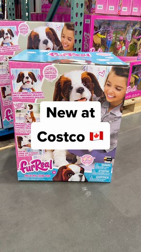 🐶 Meet FurReal Millie My Lovin’ Pup (Itm. 1851534) – Can a plush pup become your kid’s best friend? Yes or no? #CostcoFinds #CostcoCanada #HolidayGiftIdeas #CostcoDeals #CostcoHaul #MorningFun @furreal_friends_ | Andy Shen
