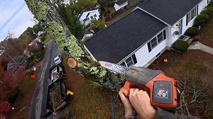 Roadside Maple Removal in Salisbury | Eco-Works Tree Service | Facebook