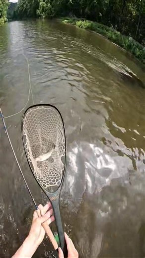 The wrist action is very powerful motion. Less is more. #flyfishing #howtocast #casting #flyfishingnation #flyfish #flyfishdelawhere #flyfishingtiktok #fishermen #fisherman #fishtok #howtoflyfish #fishingtips #fishingfun #fishcontent | Flyfishdelawhere