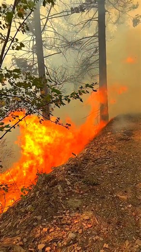 Lone Peak #Hotshots Planned Burn 2025 #forestry | My Wildfire World