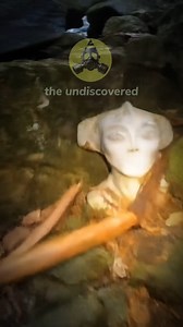 #UFO #theundiscovered #alien #conspiracies #Antarctica | the undiscovered
