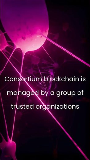 4 Types of Blockchain in 30 Seconds