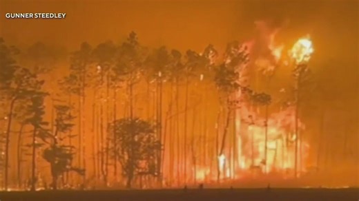 Georgia wildfires destroy dozens of homes as crews battle growing blazes