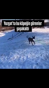 342K views · 2.2K reactions | Tv 66 on Reels | Facebook