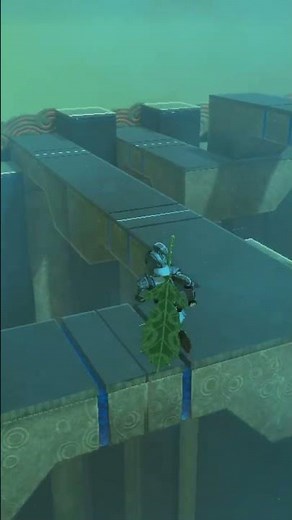 zelda breath of the wild shrine bug #zelda #zeldabotw #zeldatearsofthekingdom #nintendoswitch