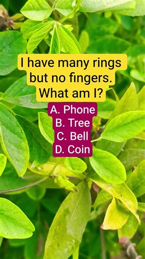 I have many rings but no fingers.What am I?