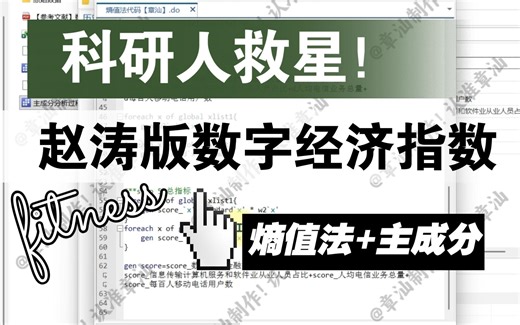 2024更新版省级数字经济测度数据 赵涛版 熵值法 主成分 两种方法测度