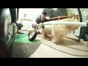 DIY PVC Dog Wheelchair Build Timelapse