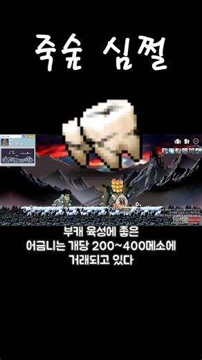 죽숲 심쩔 [메이플랜드]