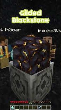 Comparing our Minecraft Stats after a Year