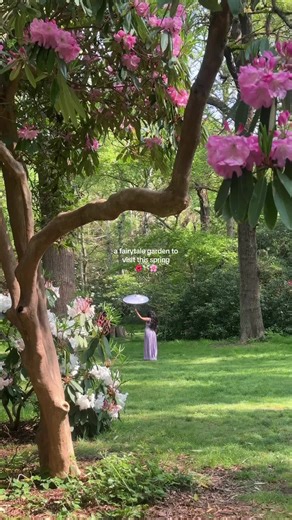 Discover the Enchanted Isabella Plantation in Spring