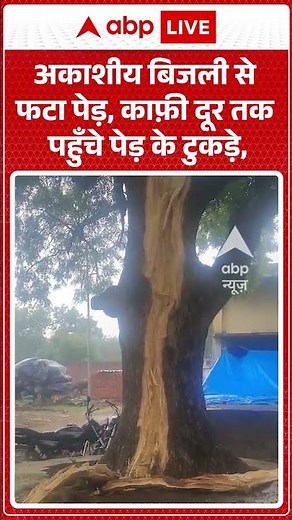 Viral News : अकाशीय बिजली से फटा पेड़, काफ़ी दूर तक पहुँचे पेड़ के टुकड़े | #viral #aligarh #upnews