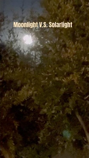Moonlight V.S. Solarlight