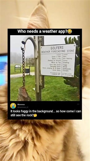 Who needs a weather app?