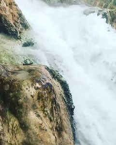 111K views · 123 reactions | Bucket List on Reels | Facebook