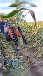 Best ingenious ideas of workers | Mike Plays