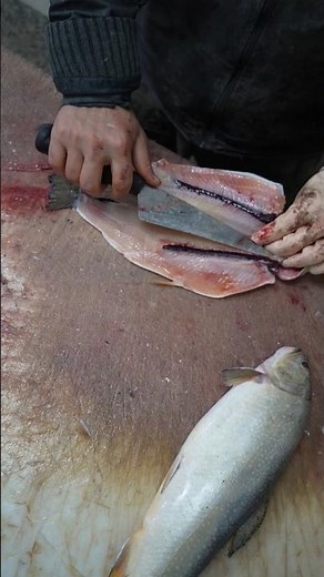 From River to Fillet – Trout Cleaning and Filleting Tips