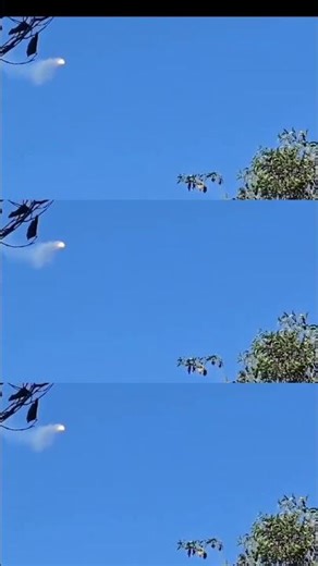 EXCLUSIVE: Thai Soldier SHOOTS DOWN Cambodian Drone with M16A3 on Border