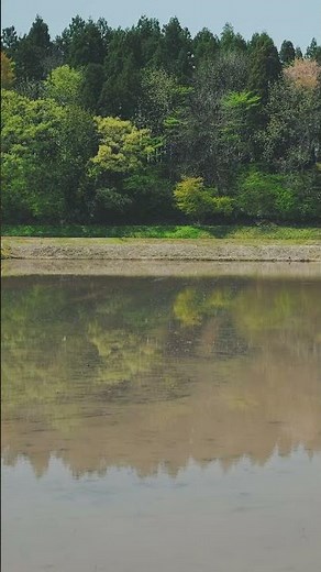 【新潟の古民家暮らし】土と水のある風景 #スローライフ #丁寧な暮らし #古民家暮らし #地方移住 #新潟移住