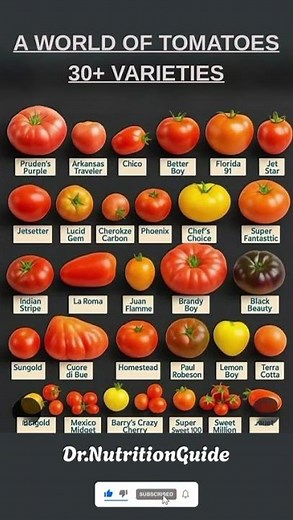 30+ Tomato Varieties From Around the World!