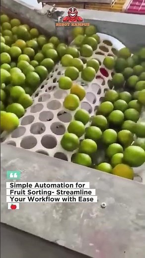 Simple Automation for Fruit Sorting- Streamline Your Workflow with Ease 🍎