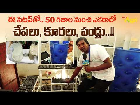 Hydroponic, Aquaponics | ఈ సెటప్‌తో 50గజాల నుంచి ఎకరాలో చేపలు, కూరలు, పండ్లు.. Rythu Badi | ToneAgri