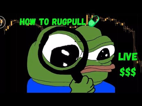 Just Made +1000$ With a Meme Coin Launch | RugPull tutorial