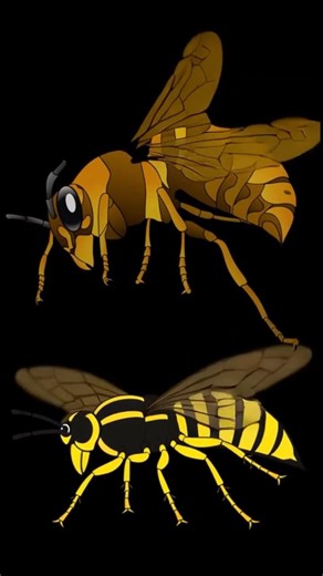 Hornet or wasp? Here’s the quickest way to spot the difference.