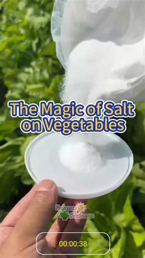 Kamangha-manghang Benepisyo ng Asin sa mga gulay, bulaklak at halaman. 🌿🌶️💐 | Halaman Kaalaman