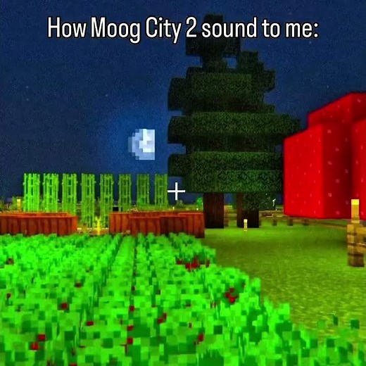 How Moog City 2 sounds to me 🌲🌙