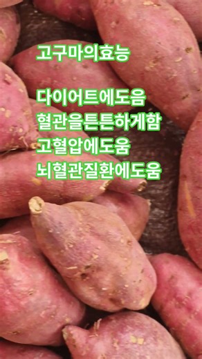 고구마의효능 다이어트에도움 혈관건강 고혈압관리