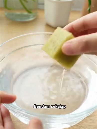 Hydroponic Gardening Tips with Rockwool