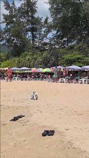 Packed to the brim! See the incredible energy of one of Thailand's most famous coastlines. #shorts