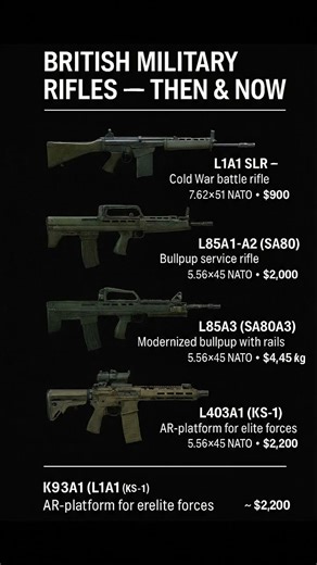 BRITISH MILITARY RIFLES — THEN & NOW