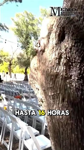 Sonido Profesional para Ceremonias en Vacaville y Sacramento | Producción y Audio 🔊 Parte 4