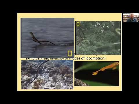 Herpetology Lecture 12 Jan. 2022