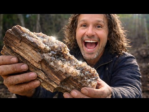 Rare Petrified Wood with Quartz Crystals Found in Alabama!