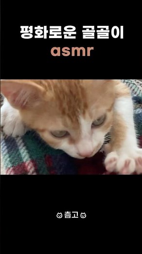 Calm and Cozy Purring ASMR