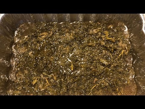 The Best Southern Kale Greens by Bettye Burnett | How to make Southern Kale Greens At Home