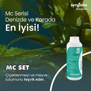 16 reactions | MC serisi, belirli ekstraksiyon işlemleriyle elde edilen özel Geapower teknolojisi ile geliştirilen, Ascophyllum Nodosum deniz yosunu çeşidinden elde edilen bitkisel maddelere dayanan, çözüm serisidir. Bitki büyümesinin her aşamasında doğal yöntemlerle en iyi sonuç için özel olarak formüle edilmiştir. #SyngentaBiologicals #Biyostimulant #Biyokontrol #McSet #McCream #McExtra | Syngenta Biologicals | Facebook