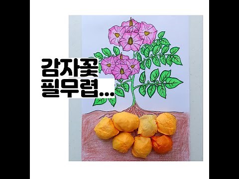 인지프로그램, 감자꽃필무렵, 꽃 색칠도안 회상요법.