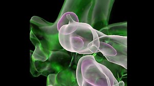 Researchers discover genetic variants that increase Alzheimer's risk