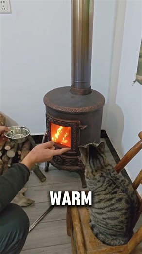 Look How My Cat Reacted To This Smoke 😱